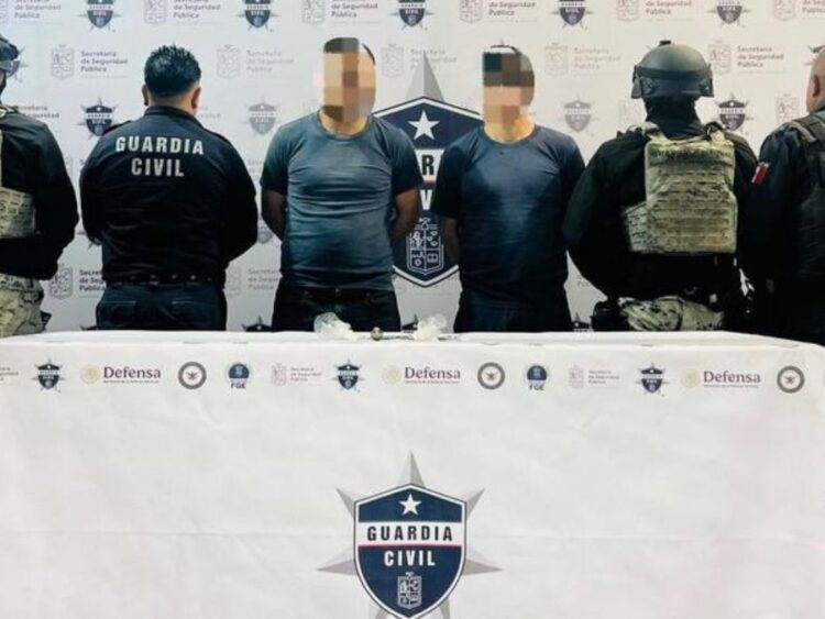 Breves informativas de estados