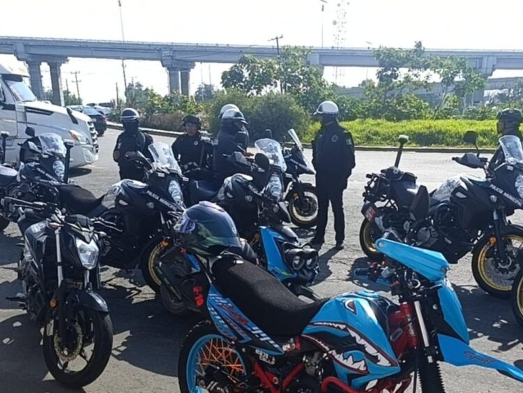 Breves informativas de los estados.