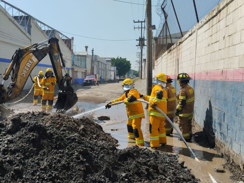 Breves informativas de estados 