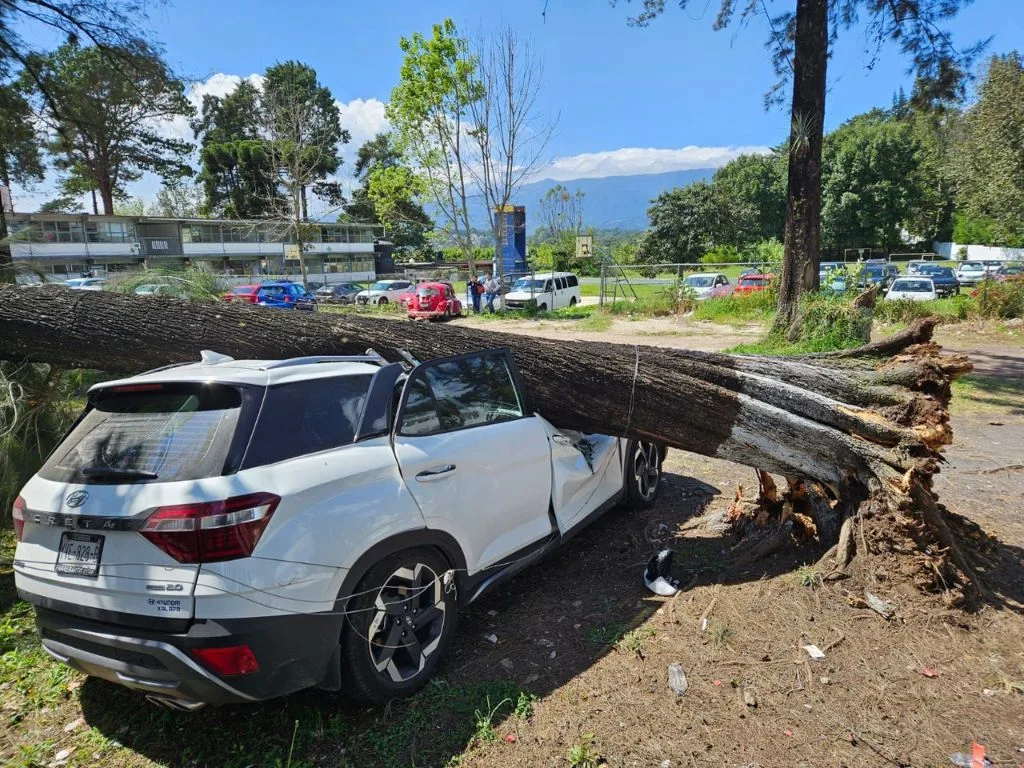Breves informativas de estados 