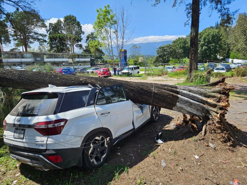 Breves informativas de estados 