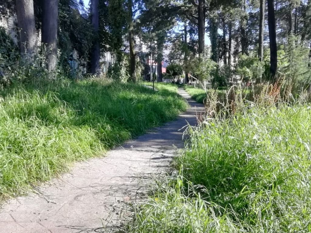 Breves informativas de estados