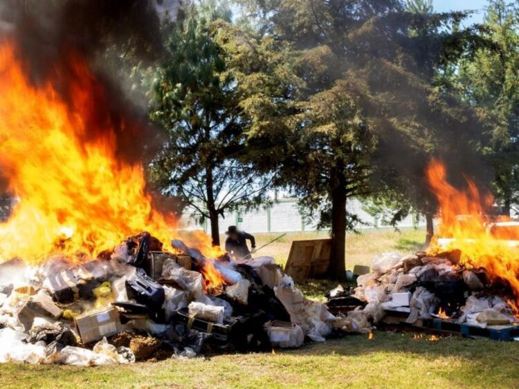 Breves informativas de los estados