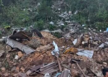 Breves informativas de los estados. Oaxaca. AMEXI