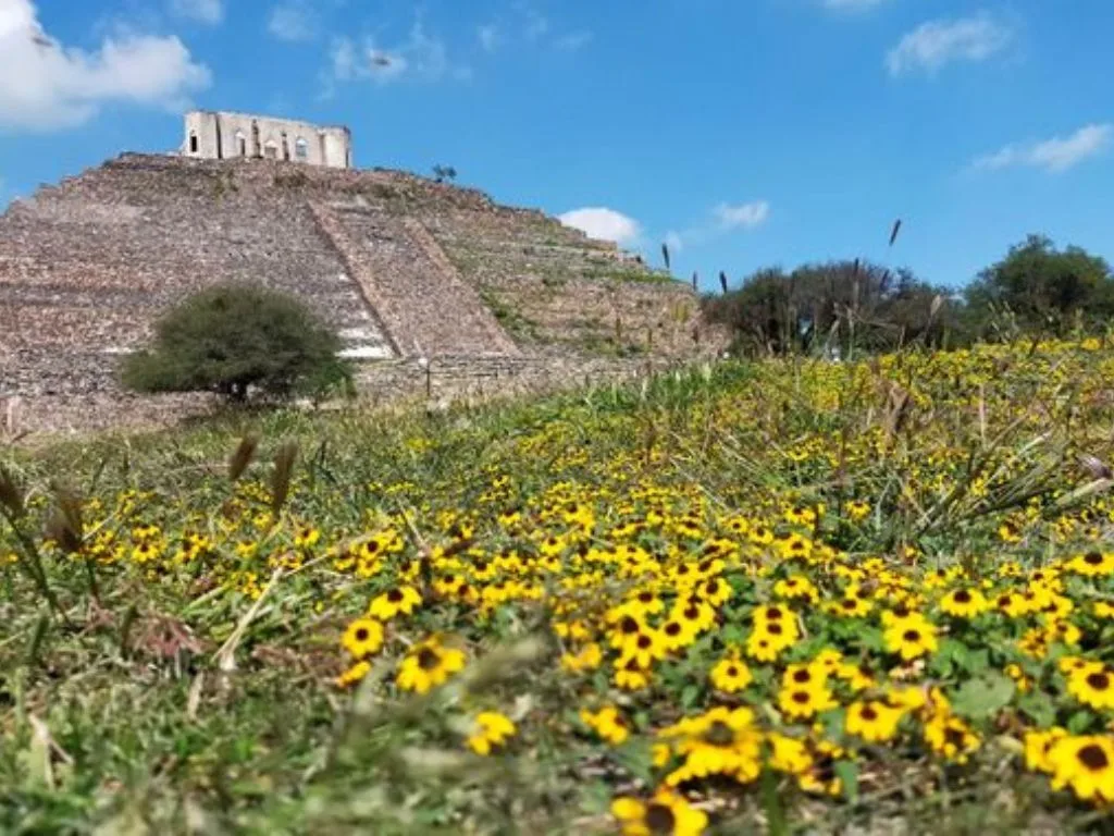 zona arqueológica