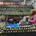 Convocan a paro nacional de productores de aguacate. AMEXI