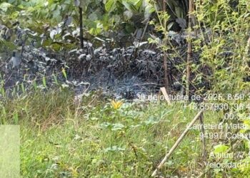 Fuga de hidrocarburos