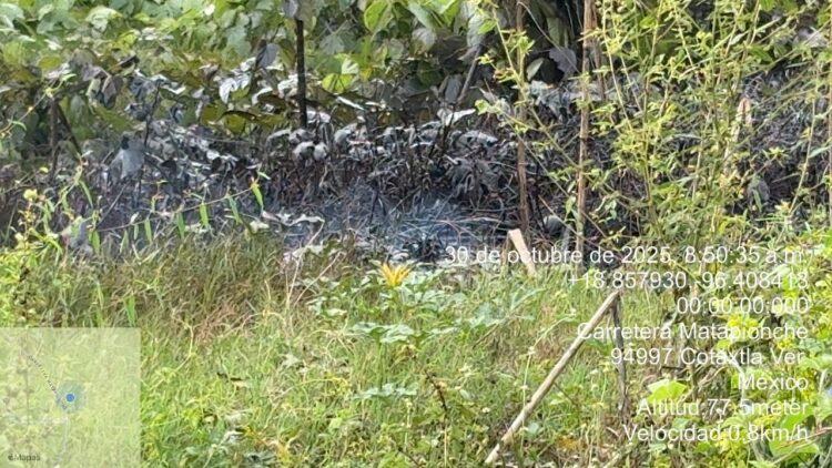 Fuga de hidrocarburos