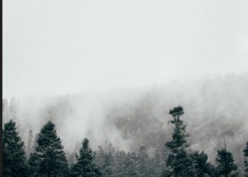 Frente frío 7 ocasionará descenso de temperaturas | AMEXI/FOTO: Pexels