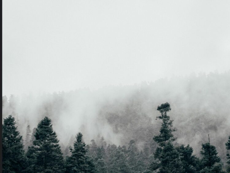 Frente frío 7 ocasionará descenso de temperaturas | AMEXI/FOTO: Pexels