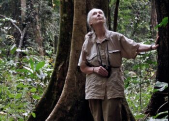 Radar Informativo Internacional (1 de octubre)