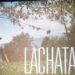 Lachatao, el documental de Natalia Bruschtein llega al cine | AMEXI/FOTO: RRSS