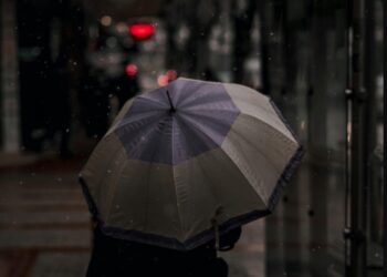 Frente frío 11 traerá lluvias fuertes y rachas de viento intensas en cuatro estados | AMEXI/FOTO: Pexels