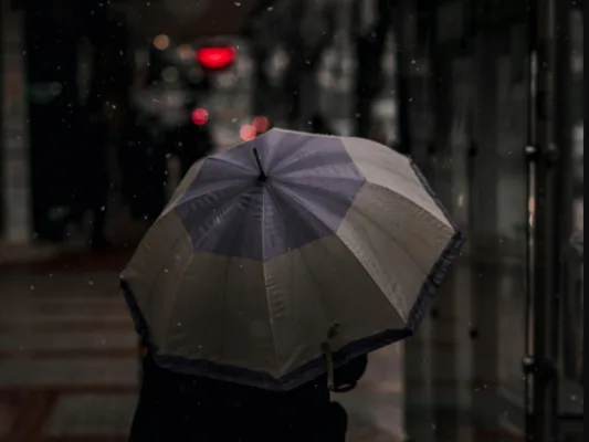 Frente frío 10 traerá lluvias fuertes y rachas de viento intensas en cuatro estados | AMEXI/FOTO: Pexels