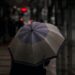 Frente frío 10 traerá lluvias fuertes y rachas de viento intensas en cuatro estados | AMEXI/FOTO: Pexels