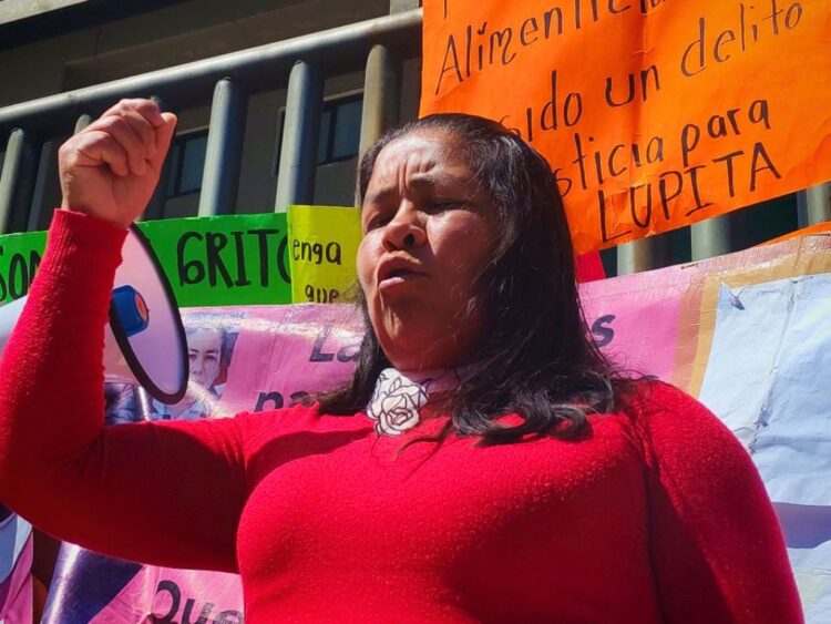 Lupita, mujer otomí condenada injustamente a 50 años de prisión. AMEXI