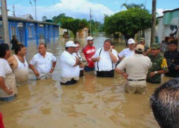 De acuerdo con la titular del Bienestar, además del censo, se entregarán tarjetas a mujeres beneficiarias de la Pensión del Bienestar. AMEXI