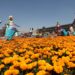 Brugada inaugura Ofrenda Monumental de Día de Muertos en Zócalo capitalino