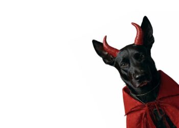 ¿Disfrazar a mi perro en Halloween o Día de Muertos, le causa algún daño?