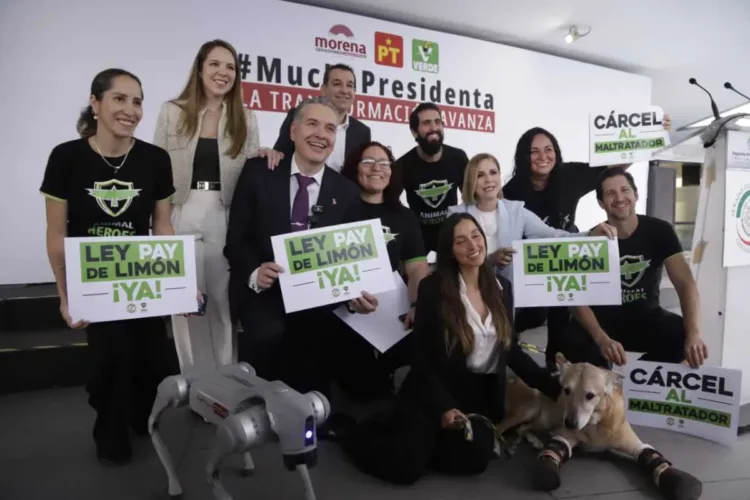 Perrito bautizado como Pay de Limón, con 15 años de edad, fue mutilado de sus patitas por integrantes del crimen organizado