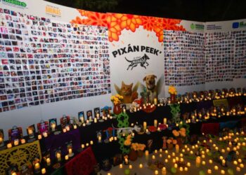 Pixán Peek en Mérida, para honrar la memoria de los animales de compañía que han partido.