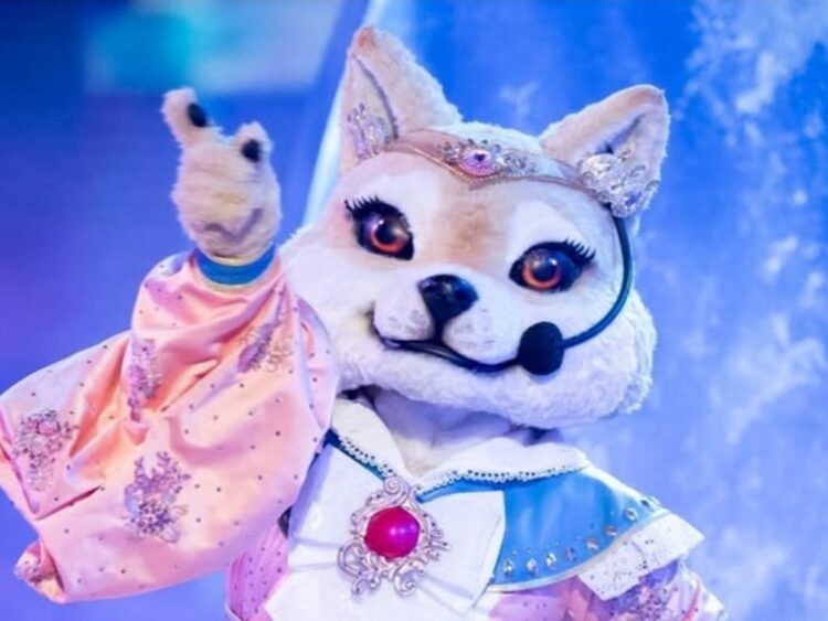 Shiba Moon, el primer eliminado de ¿Quién es la máscara? | AMEXI/FOTO. IG @quieneslamascara