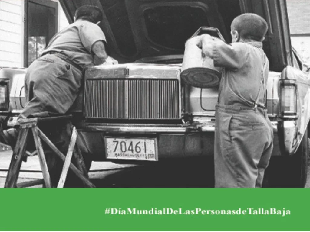 Talla Baja