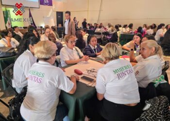 Urge que México ratifique Convenio 156 y cree el Sistema de Cuidados: Mujeres sindicalistas