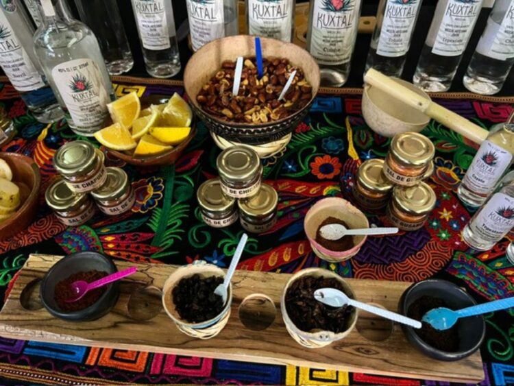 Mescalfest en la Ciudad de México cautiva con sabores únicos y tradición mezcalera