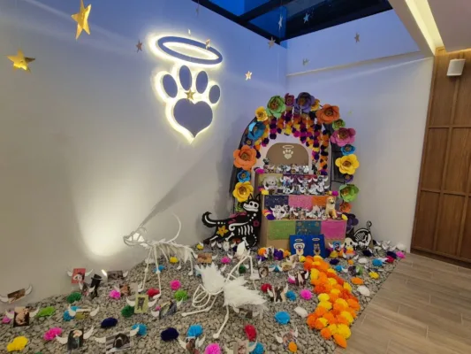 Mascotas en el recuerdo: Inauguran altar especial para Día de Muertos