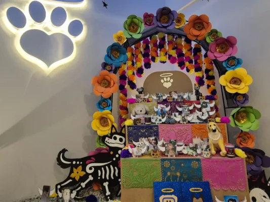 Mascotas en el recuerdo: Inauguran altar especial para Día de Muertos
