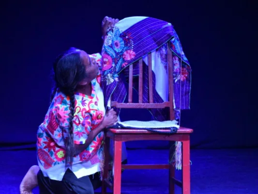 45 Muestra Nacional de Teatro