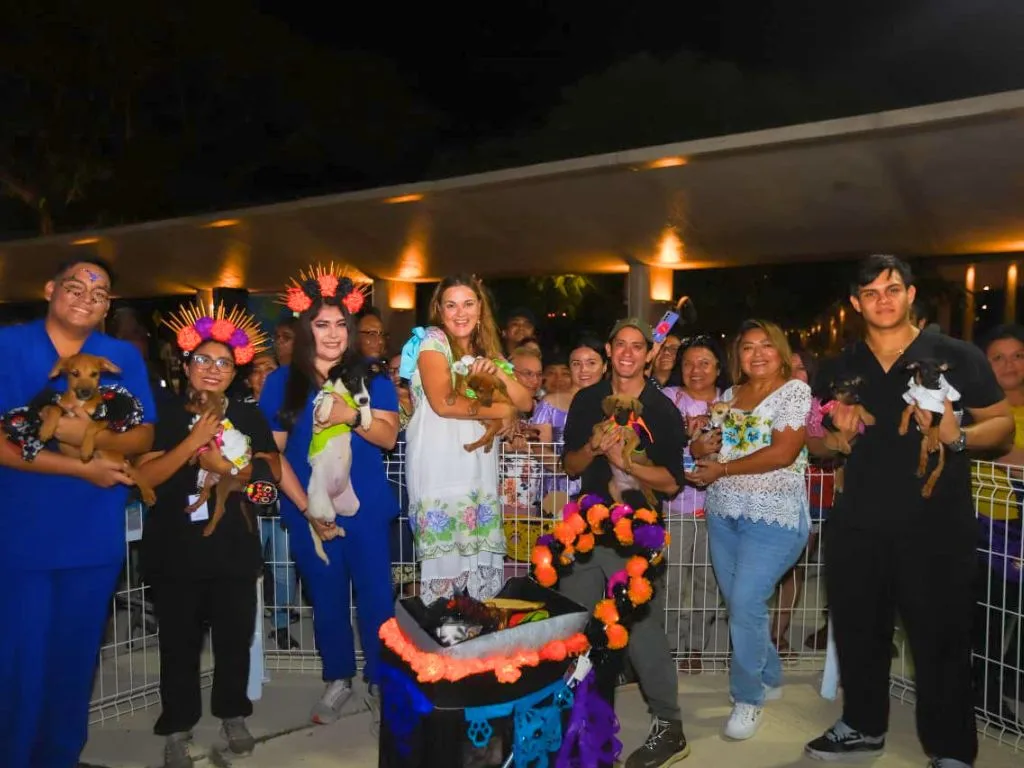 Un espacio para la adopción responsable. AMEXI