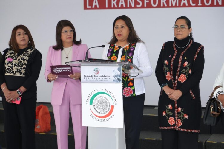 Celebran 183 años de la erección de Chimalhuacán. AMEXI