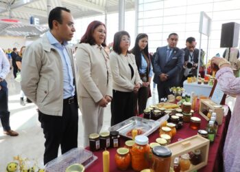 Morena en el Senado gestiona que aguacateros mexiquenses obtengan certificado de origen