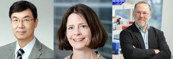Nobel de Medicina 2025 sistema inmune
