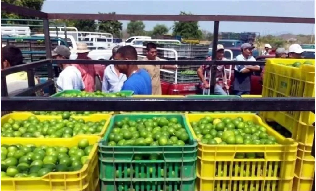 limón