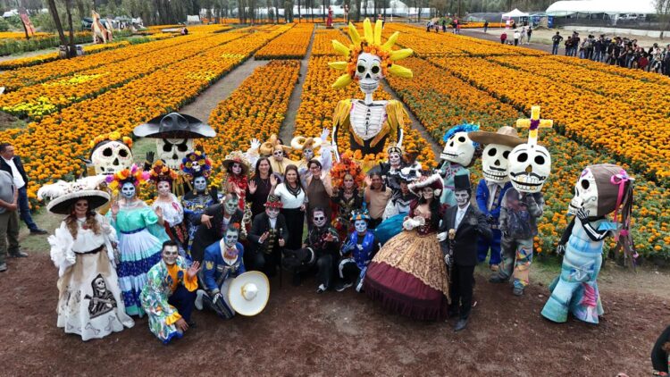 Xochimilco rompe récord en producción de cempasúchil. 17 de octubre, 2025. AMEXI / Foto: Clara Brugada