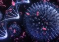Acinetobacter
