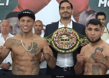 Alacrán Berchelt y Edixon Pérez