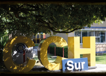 Jóvenes, violencia y cultura digital: el espejo oscuro de los “incels”