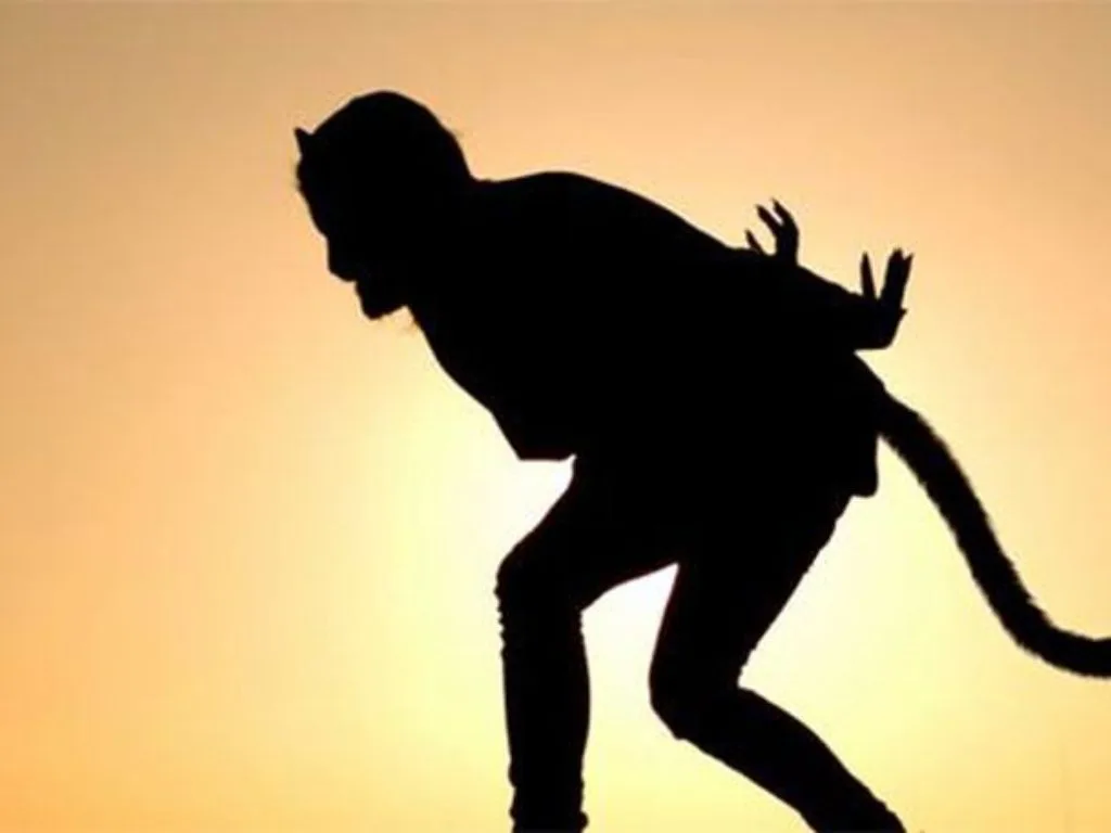 El felino depredador 