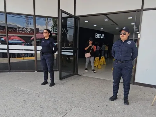 Breves informativas de los estados