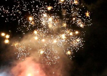 Breves informativas de los estados