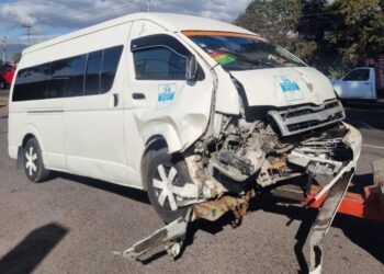 Cae árbol en Amecameca