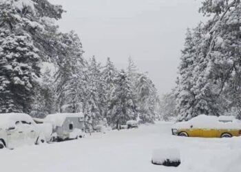 Cierran Parque Nacional de la Sierra de San Pedro Mártir, en BC, por nevada. 22 de noviembre de 2025. AMEXI Foto X Parque Nacional de la Sierra de San Pedro Mártir