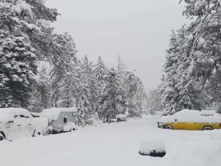 Cierran Parque Nacional de la Sierra de San Pedro Mártir, en BC, por nevada. 22 de noviembre de 2025. AMEXI Foto X Parque Nacional de la Sierra de San Pedro Mártir