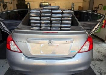 Decomisa Patrulla Fronteriza más de 176 kilos de droga en dos semanas