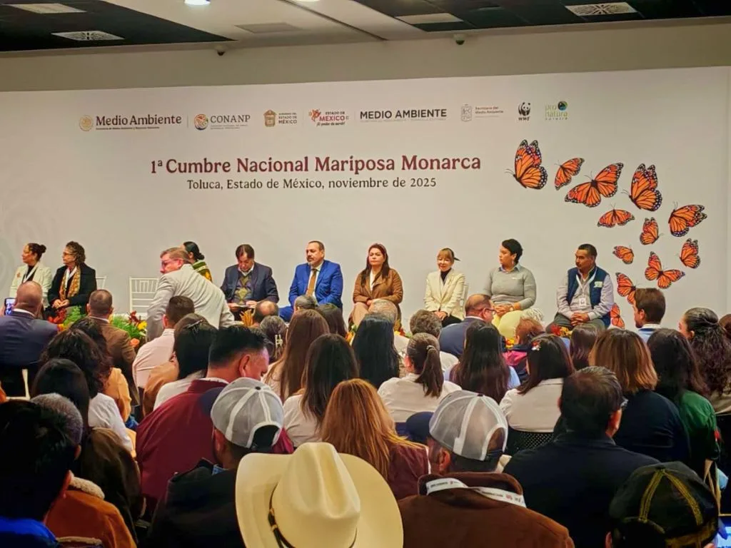 En Toluca, la Primera Cumbre Nacional Mariposa Monarca. AMEXI