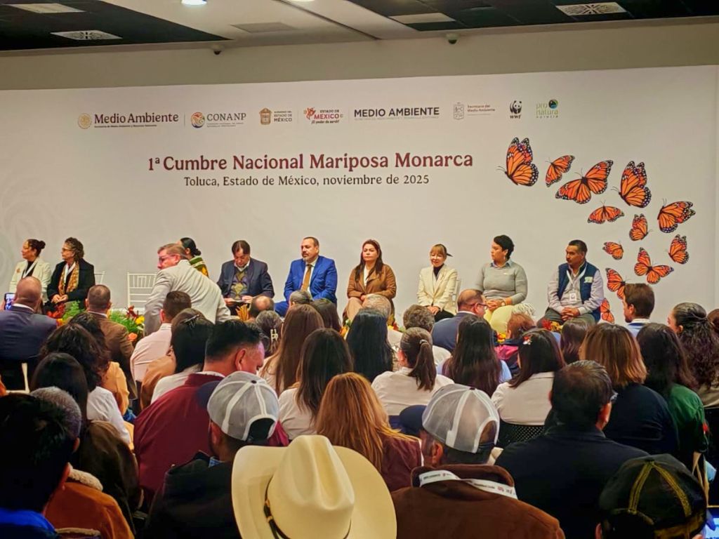 En Toluca, la Primera Cumbre Nacional Mariposa Monarca. AMEXI